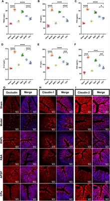 Spatiotemporal delivery of multiple components of rhubarb-astragalus formula for the sysnergistic treatment of renal fibrosis